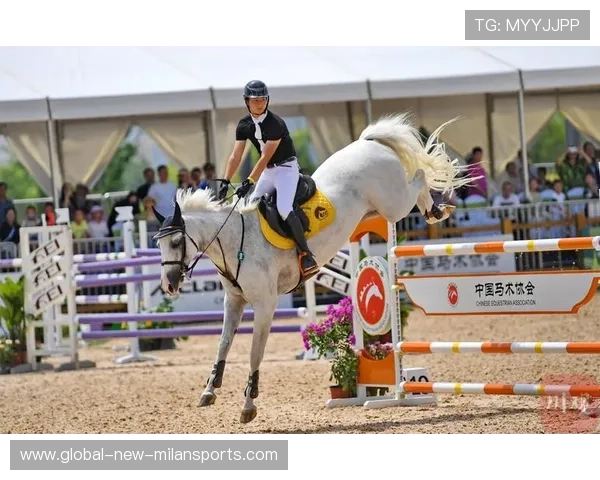 马术冠军与爱马互动视频爆红，被誉为“人马合一”典范