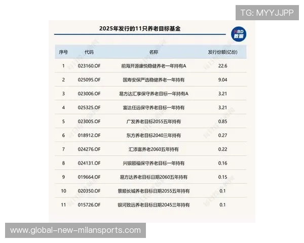 基本养老基金稳健运营，服务长期战略目标，养老基金目标策略